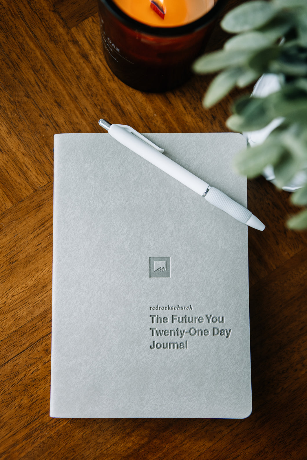 The Future You | 21 Day Journal